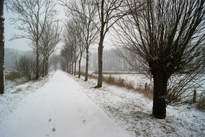 170211-PK-winterlandschap in Heeswijk- 6   Large 